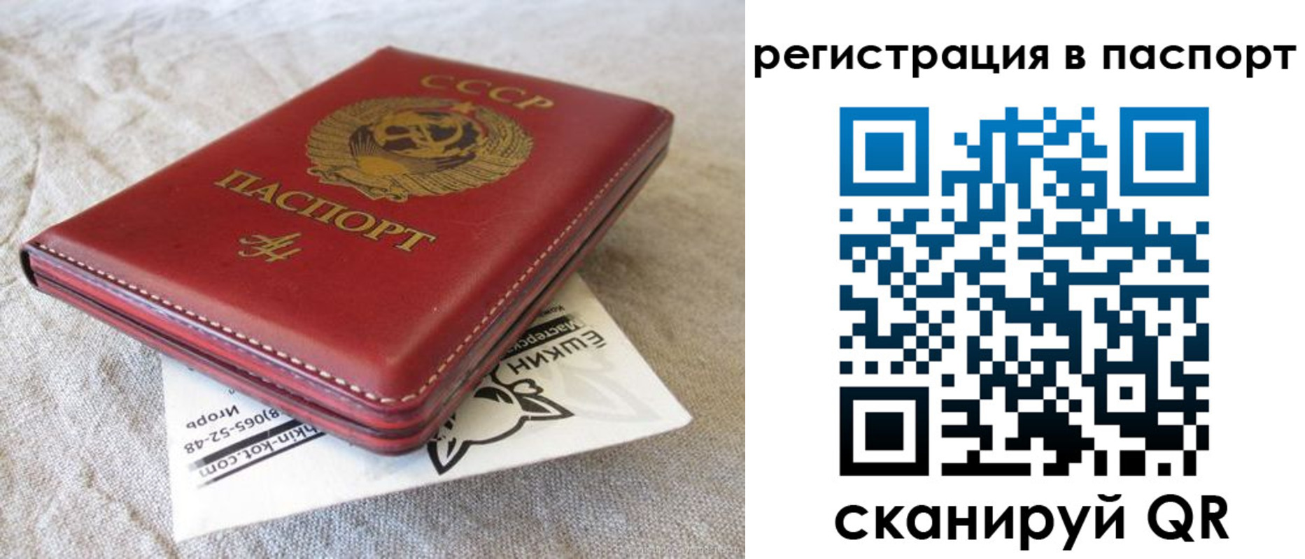 где прописаться в Михайловске